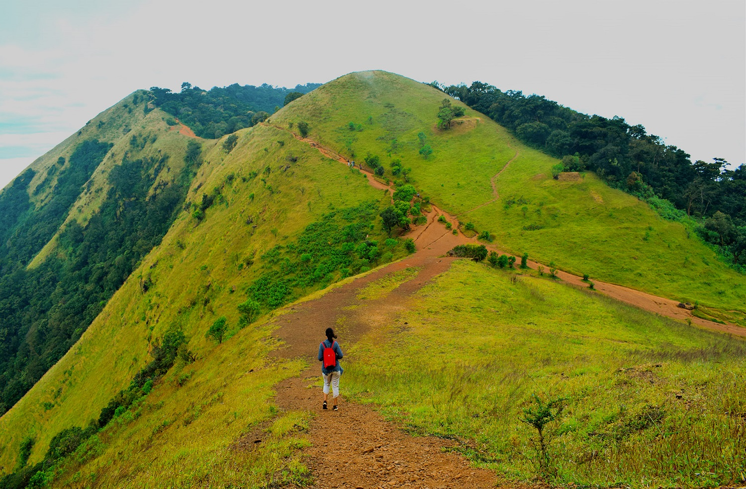 Kodachadri Trek